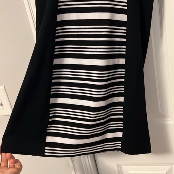 Express Dress - Picture 6 of 6